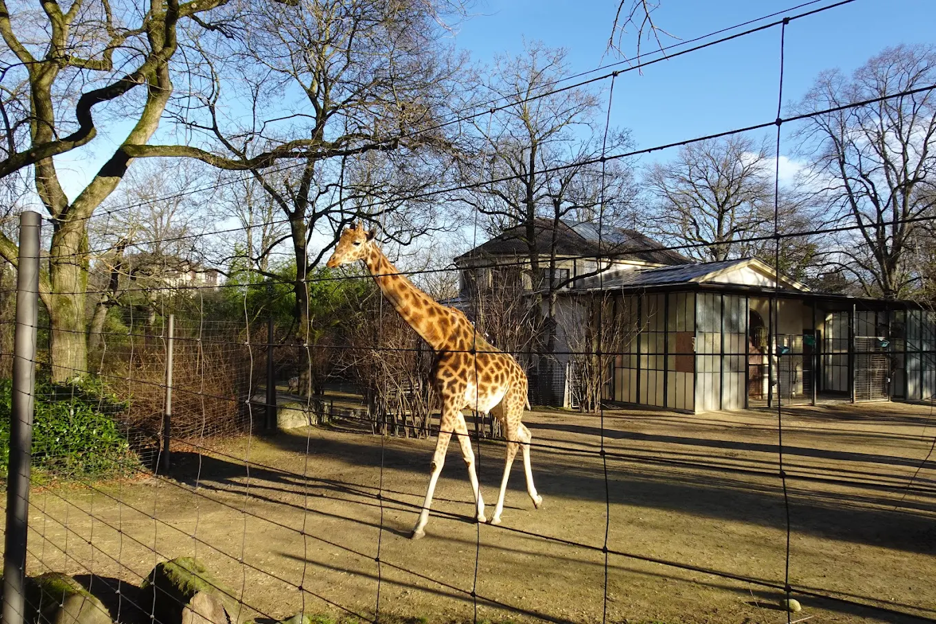 Basel Zoo