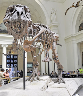 Field Museum