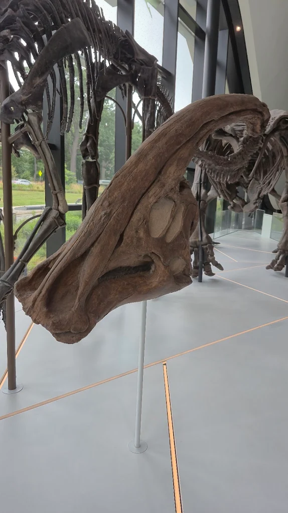 Cleveland Museum of Natural History