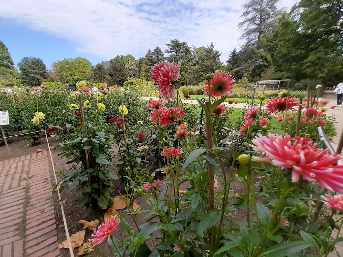 Flora and Botanical Garden