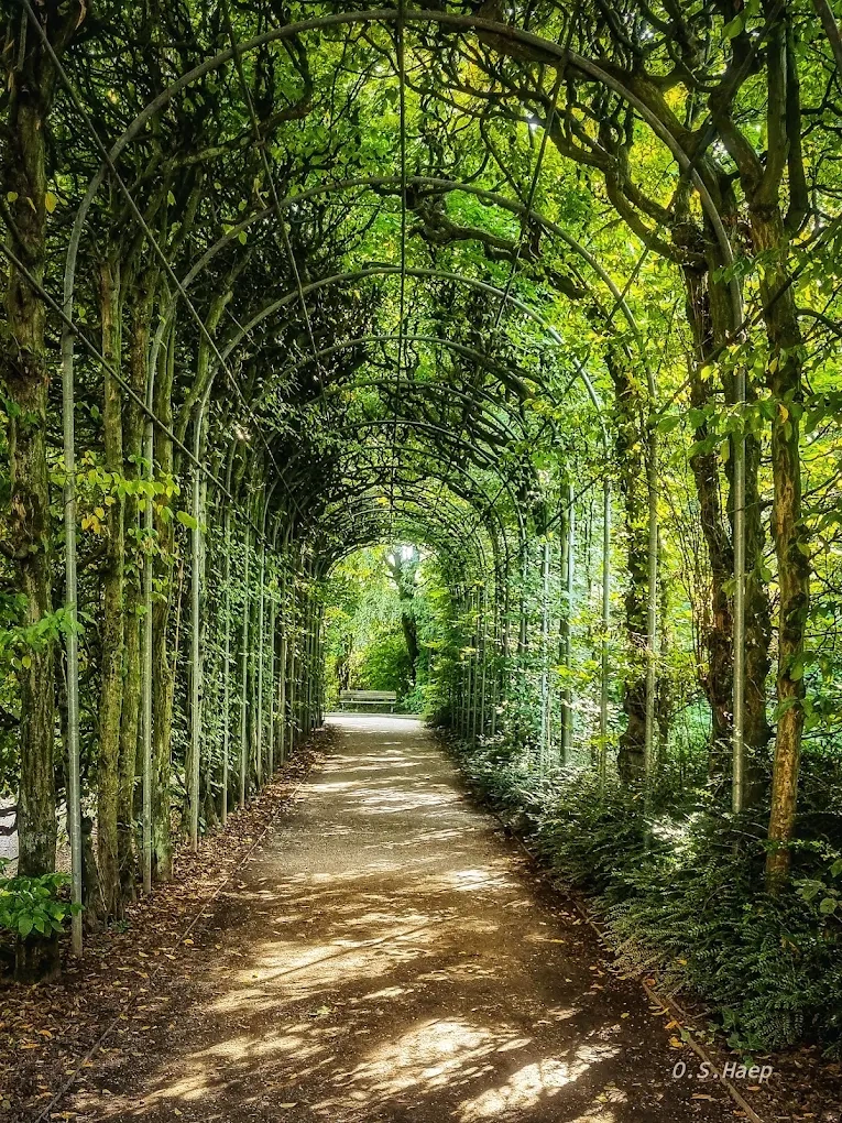 Flora and Botanical Garden