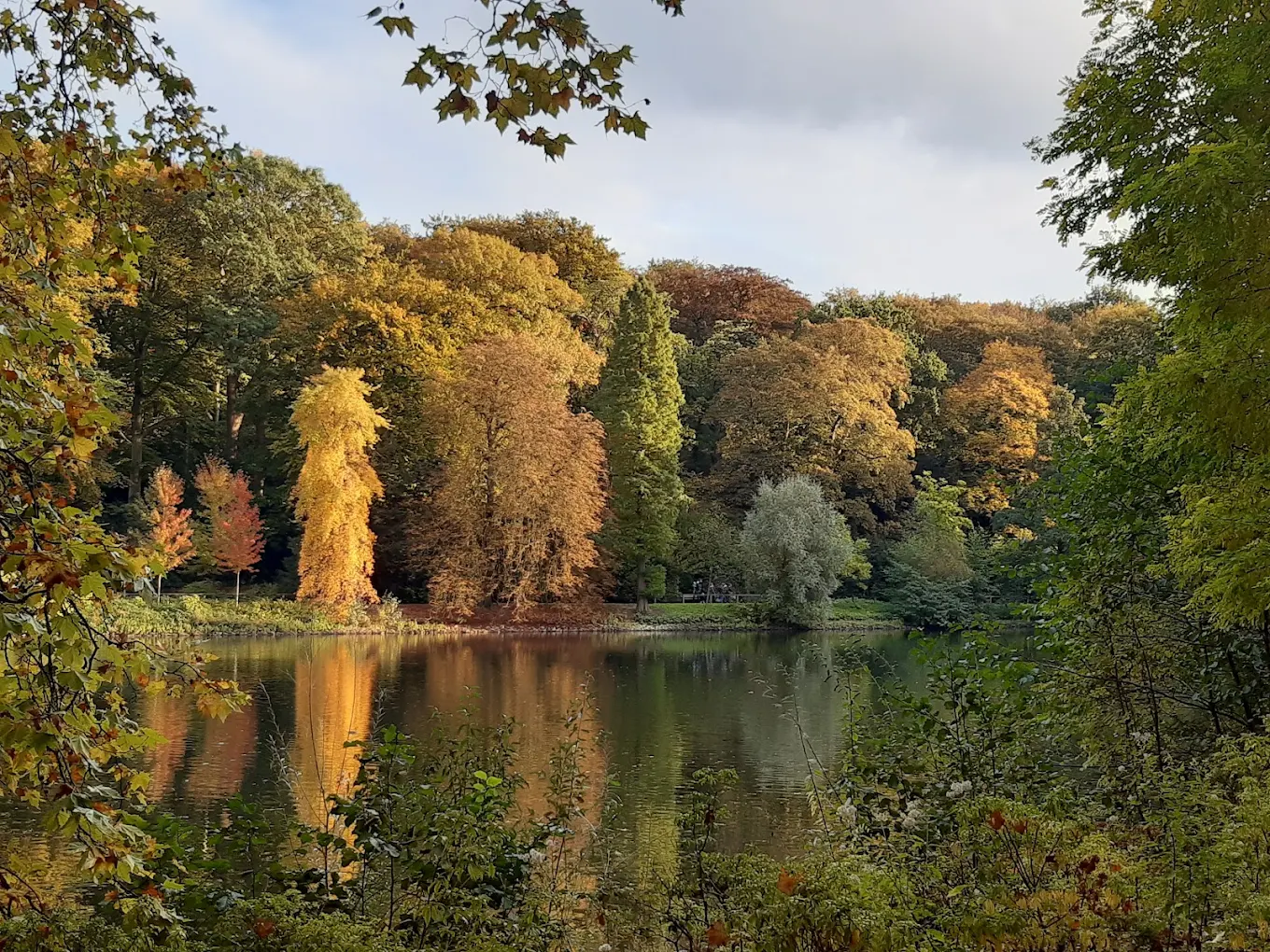 Rombergpark