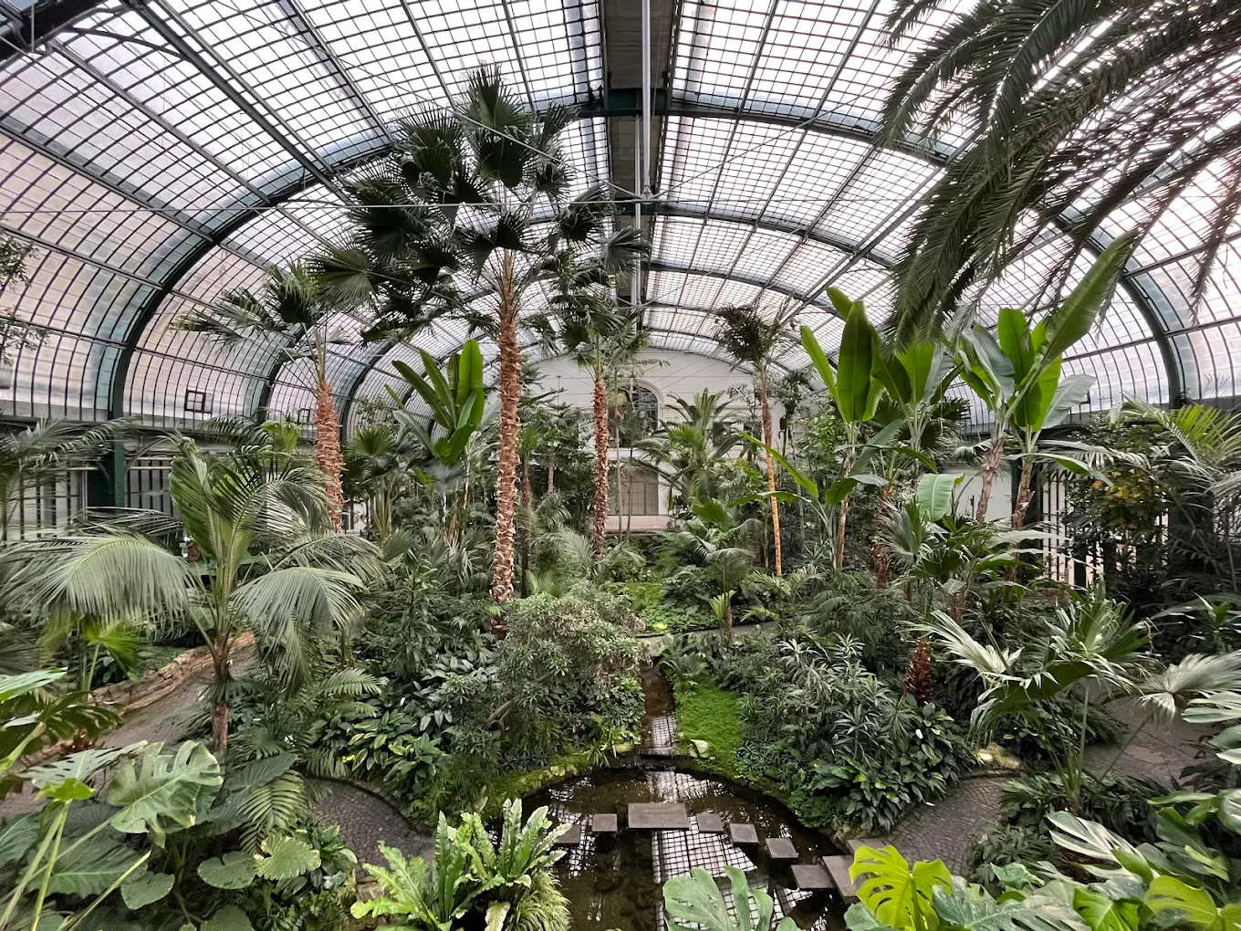 Palmengarten
