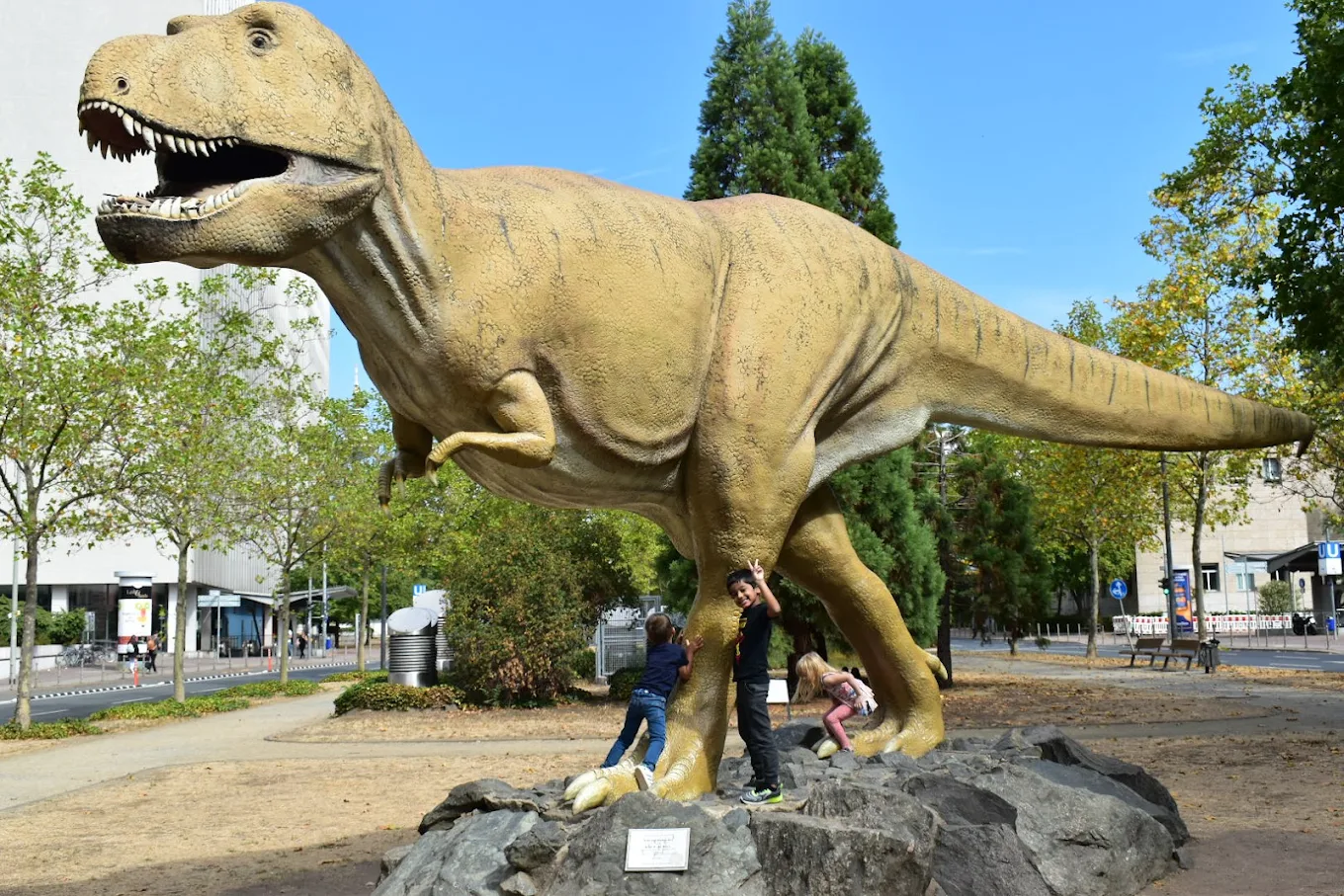 Senckenberg Natural History Museum