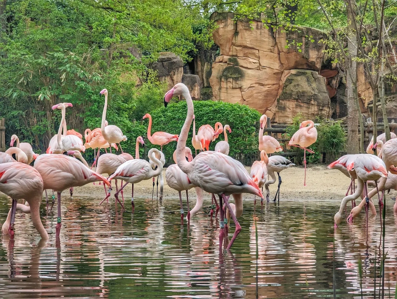 Hannover Adventure Zoo