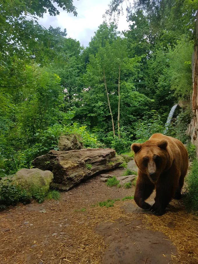 Alpine Zoo (Alpenzoo)