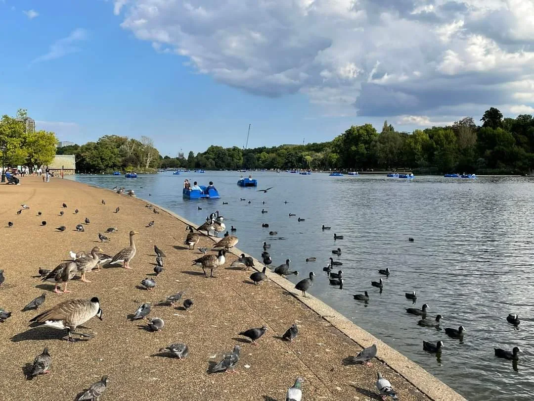 Hyde Park