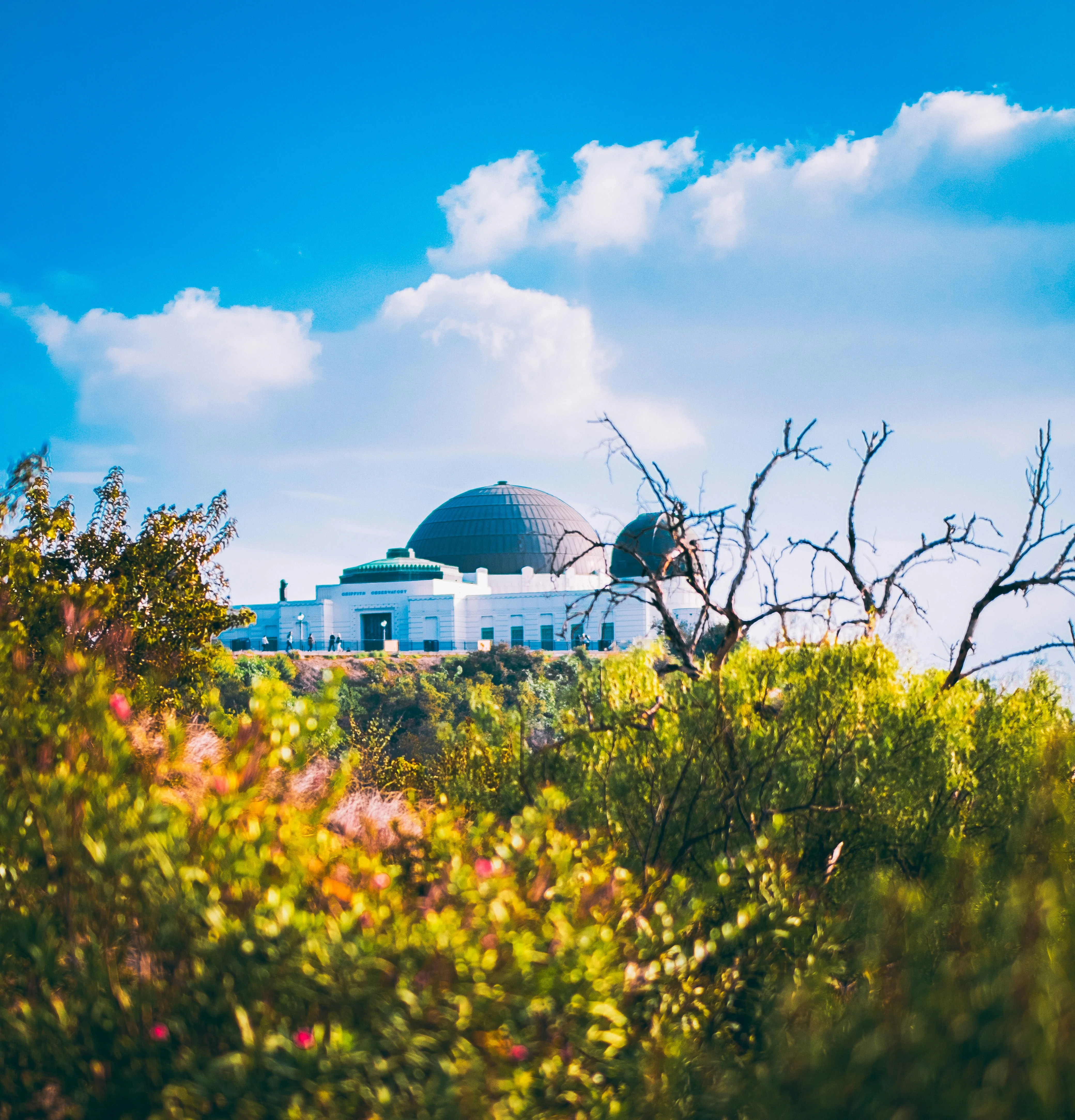 Griffith Observatory and Park