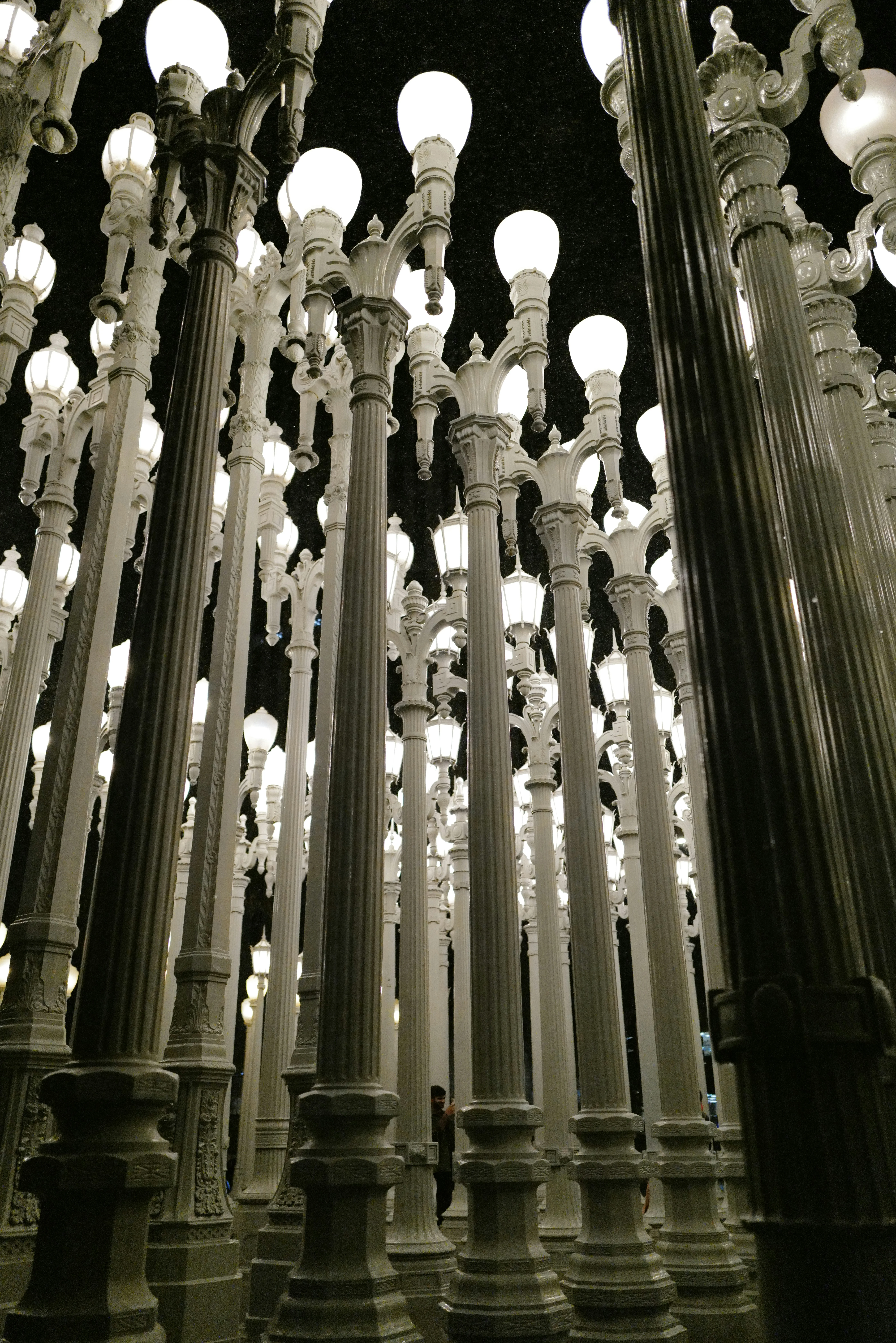LACMA (Los Angeles County Museum of Art)