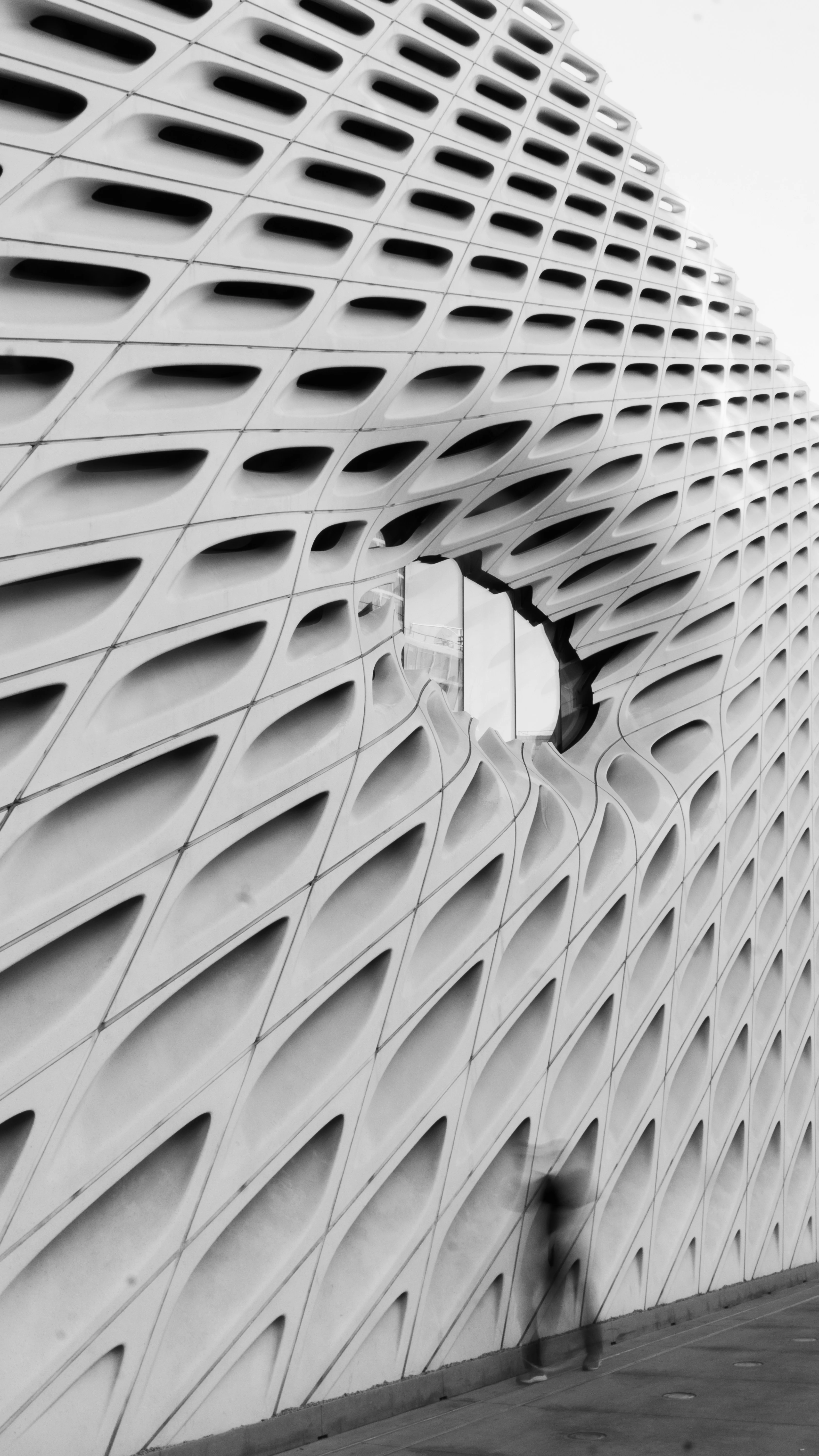The Broad