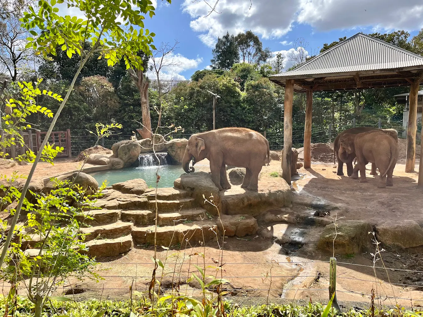 Melbourne Zoo