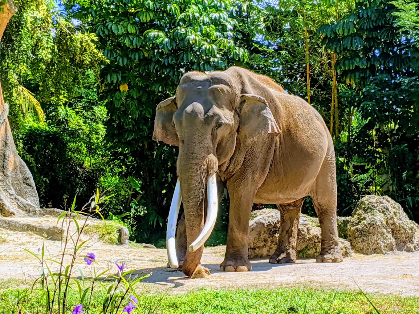 Zoo Miami