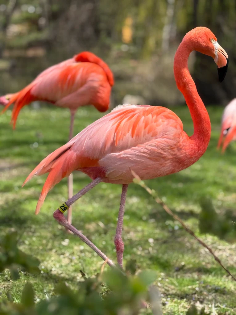 Milwaukee County Zoo