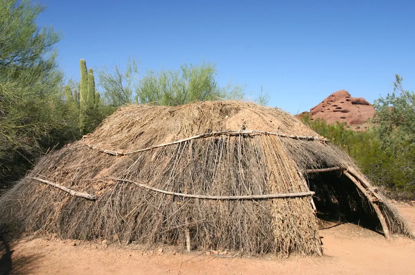 Desert Botanical Garden