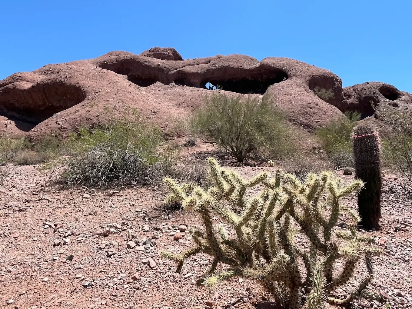 Papago Park