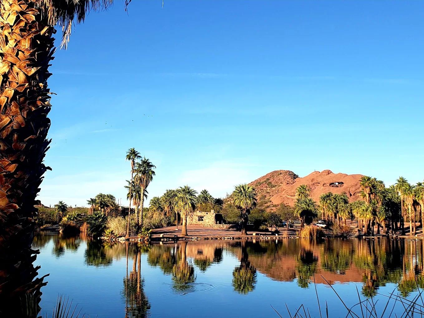 Phoenix Zoo