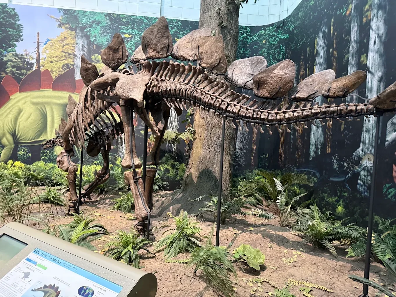 Carnegie Museums of Art and Natural History