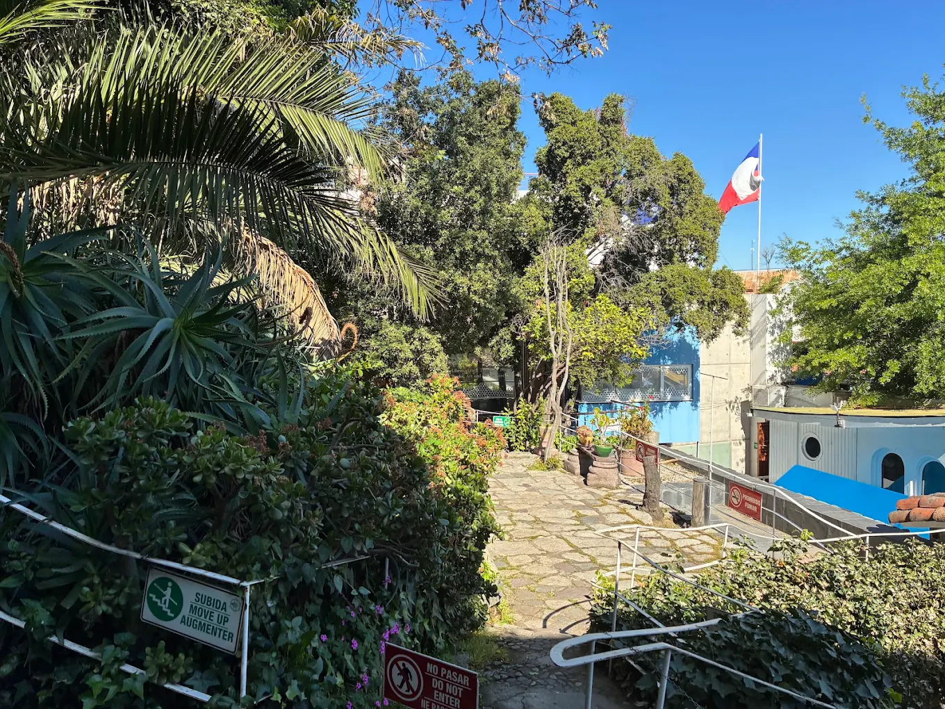 La Chascona
