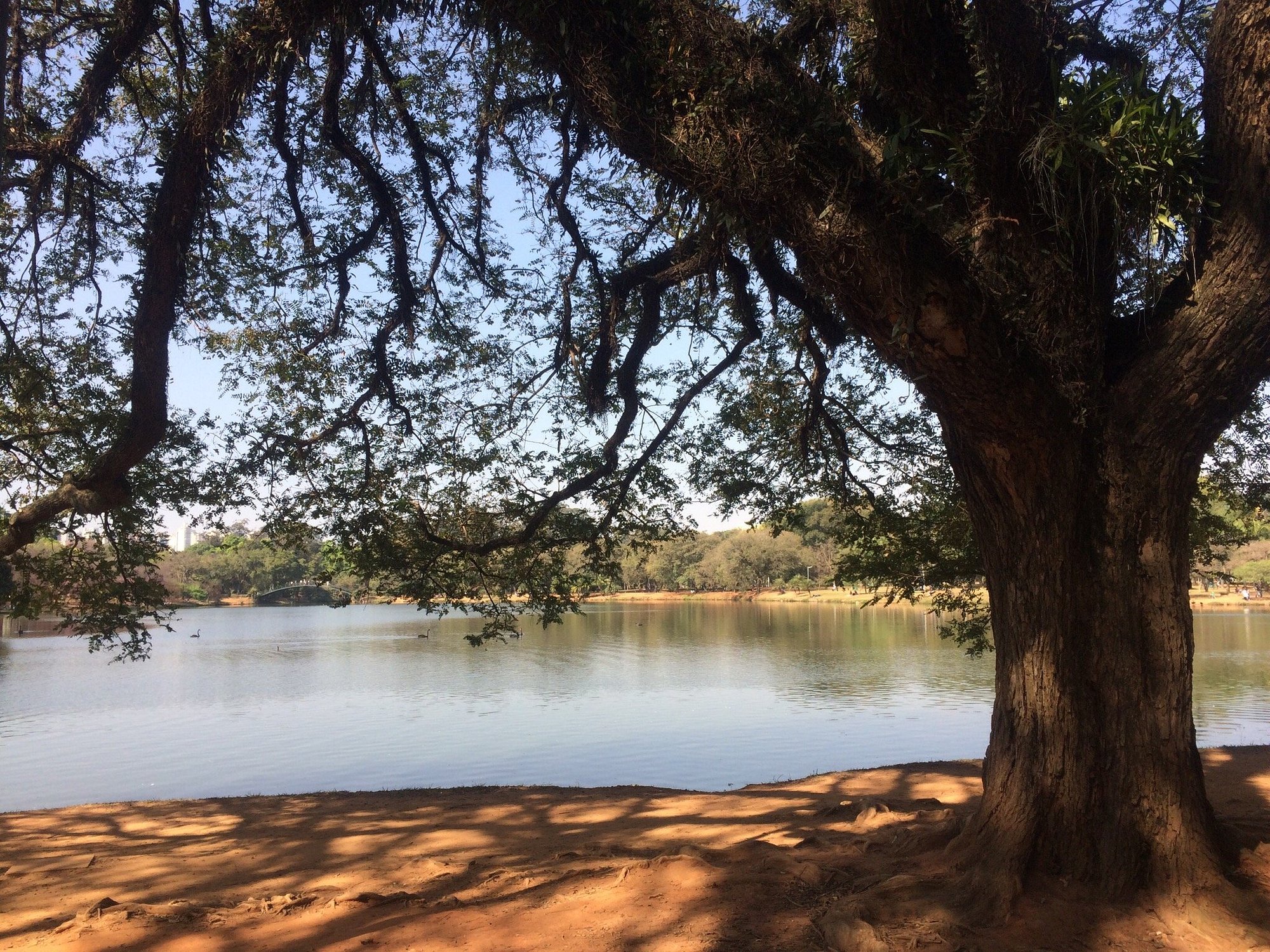 Ibirapuera Park