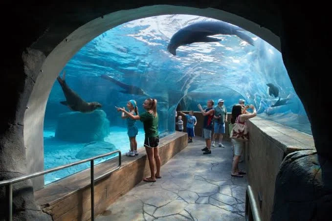 Saint Louis Zoo