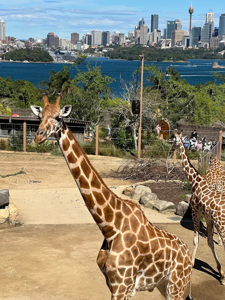 Taronga Zoo
