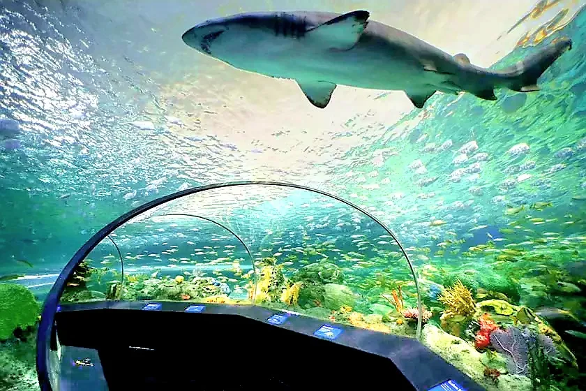 Ripley's Aquarium of Canada
