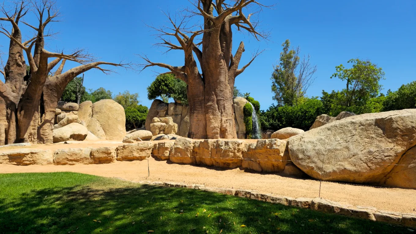 Bioparc València