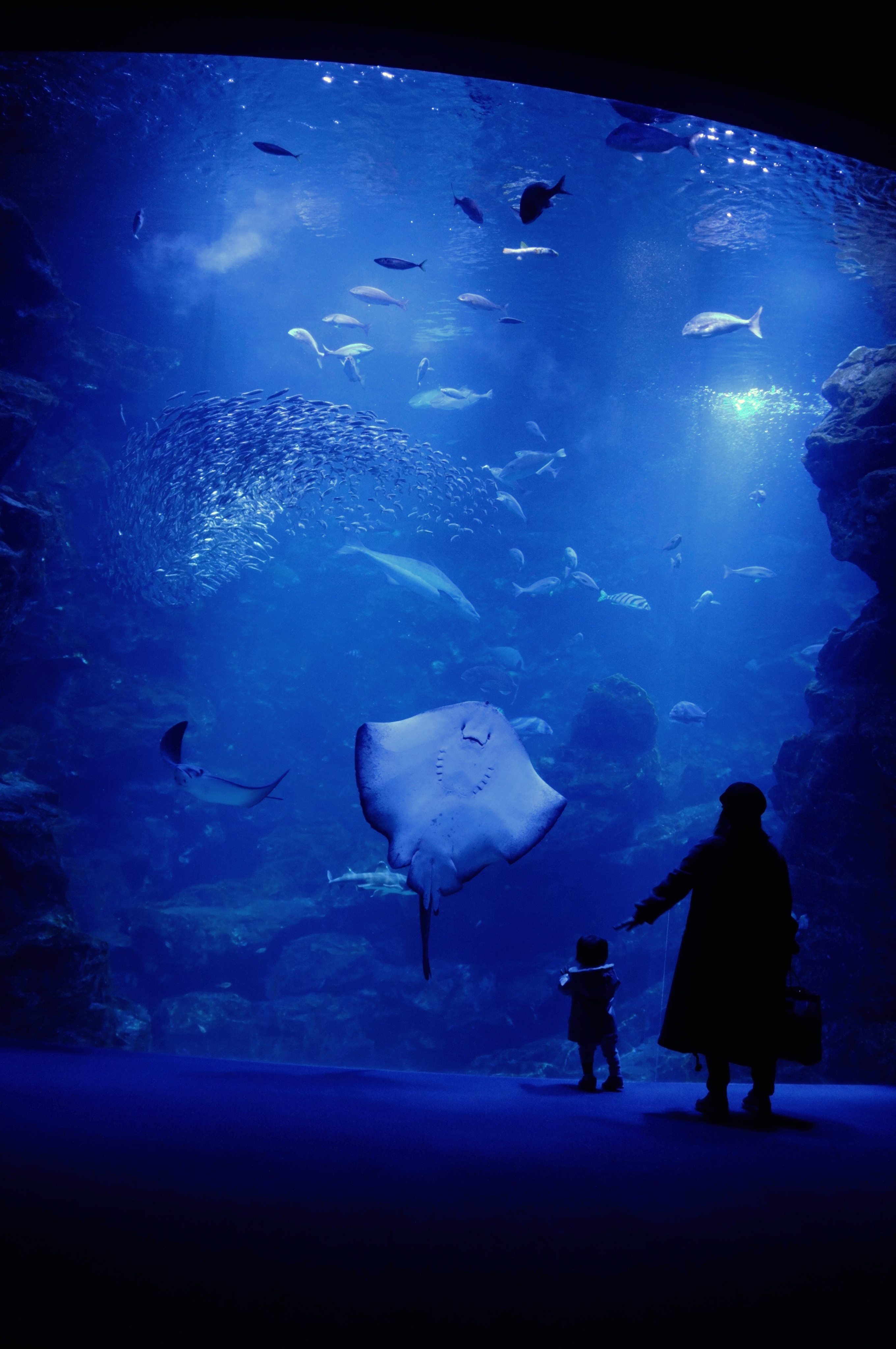 Oceanogràfic