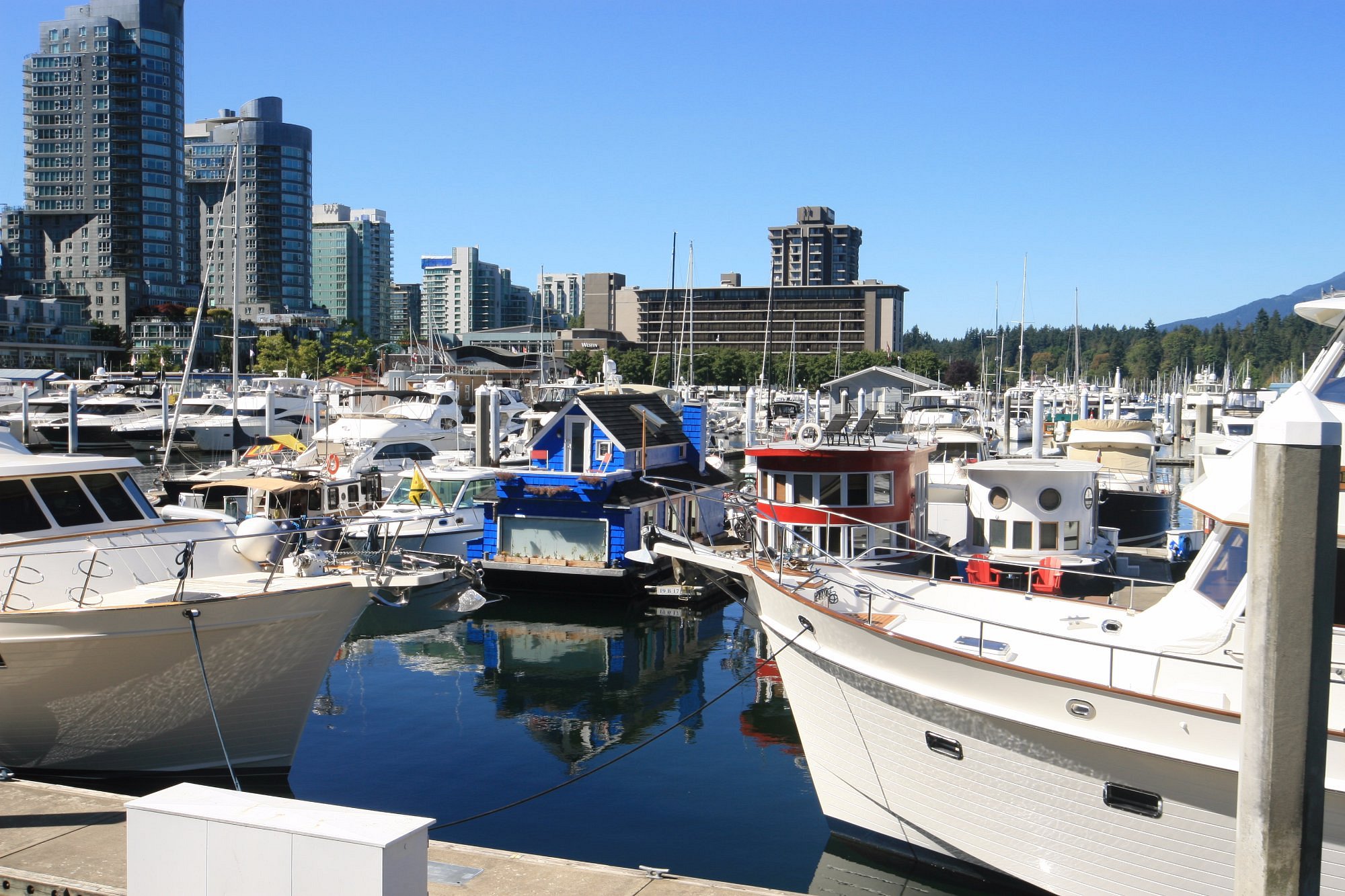 Stanley Park