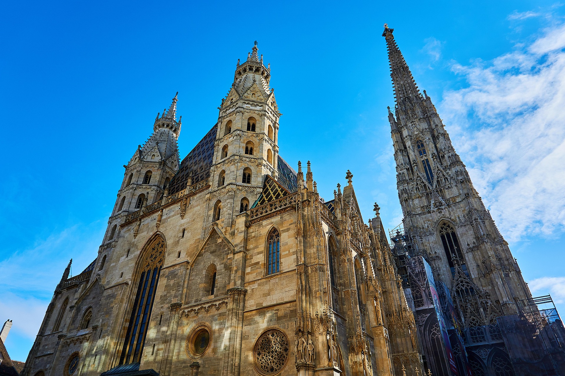 St. Stephen's Cathedral (Stephansdom)