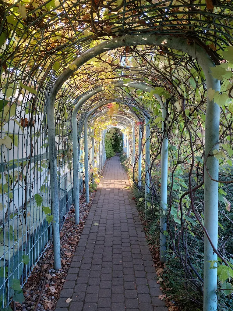 University Library Rooftop Gardens