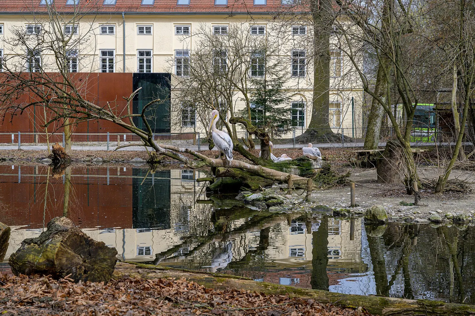 Wels Zoo and People's Park (Tiergarten and Volksgarten)
