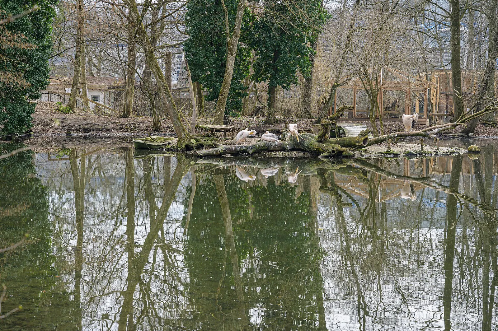 Wels Zoo and People's Park (Tiergarten and Volksgarten)