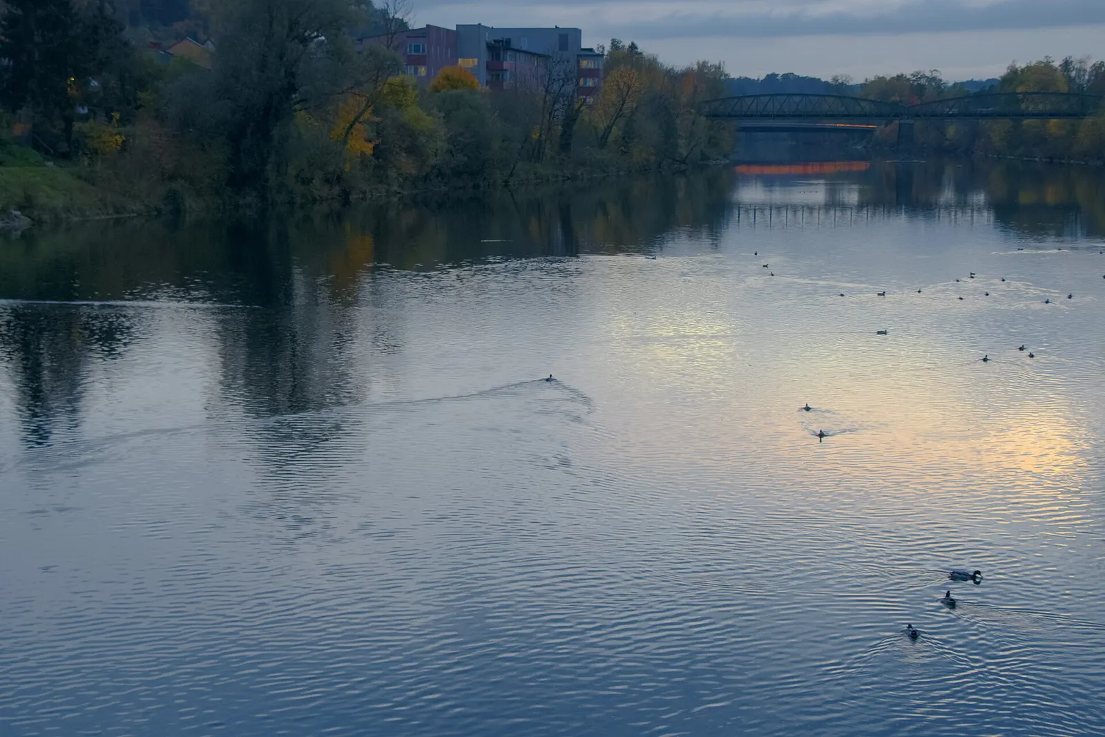 Traun Riverside (Welser Traunauen)