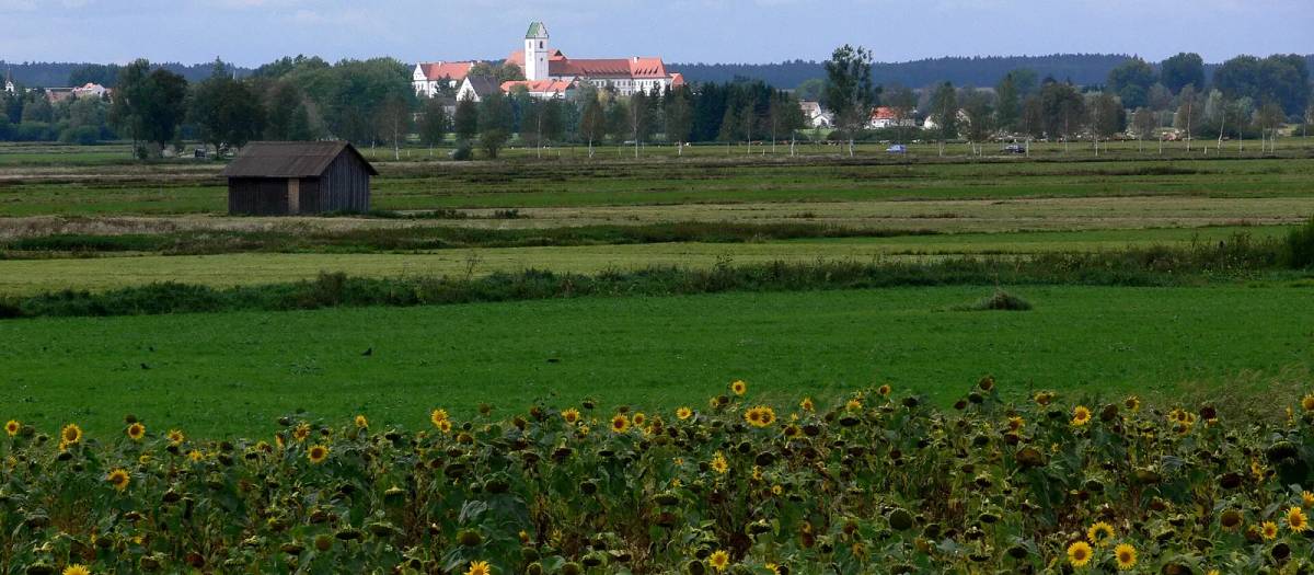 Bad Buchau