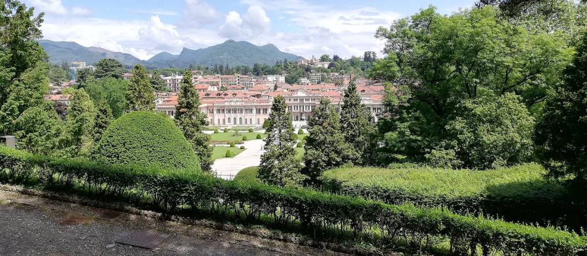 Varese