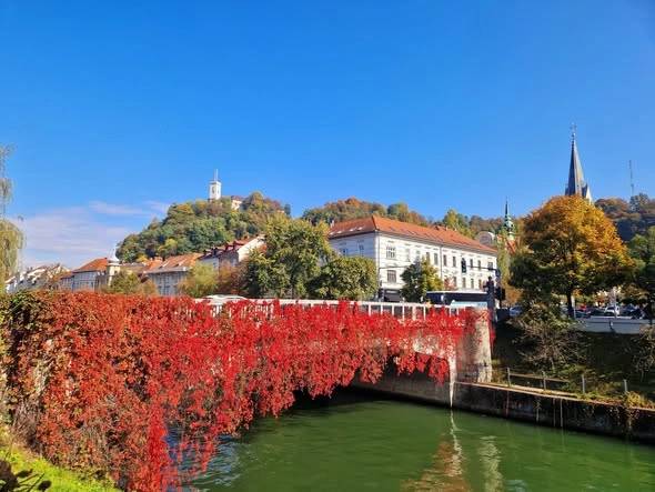 Ljubljanica Riverbank
