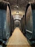 Vinag Wine Cellar