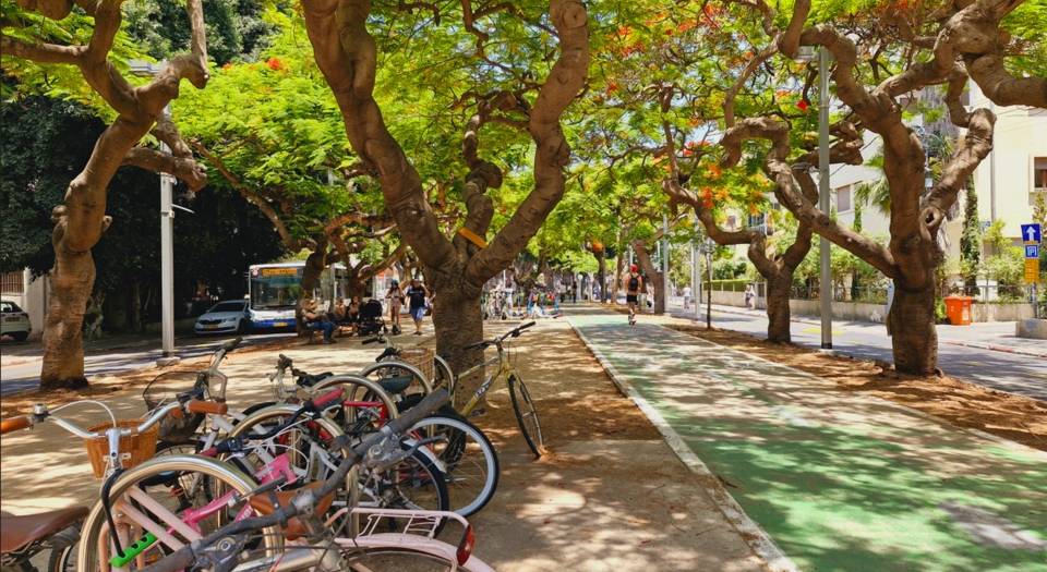 Rothschild Boulevard and the White City
