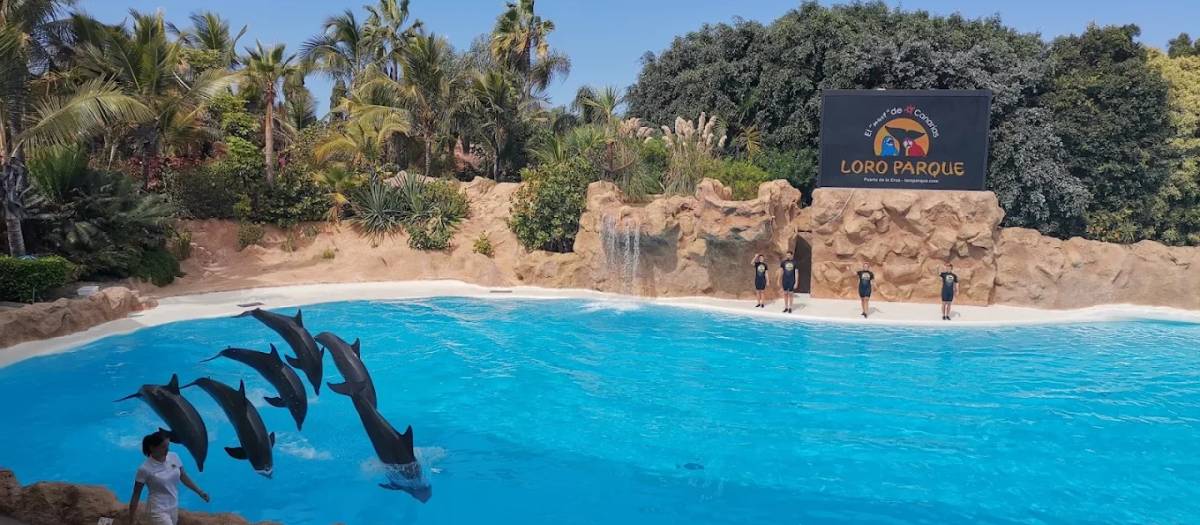 Loro Parque