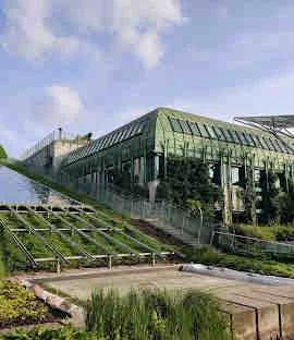 University Library Rooftop Gardens